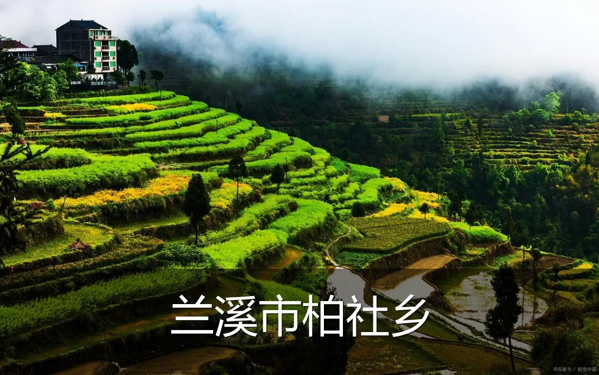 兰溪市柏社乡